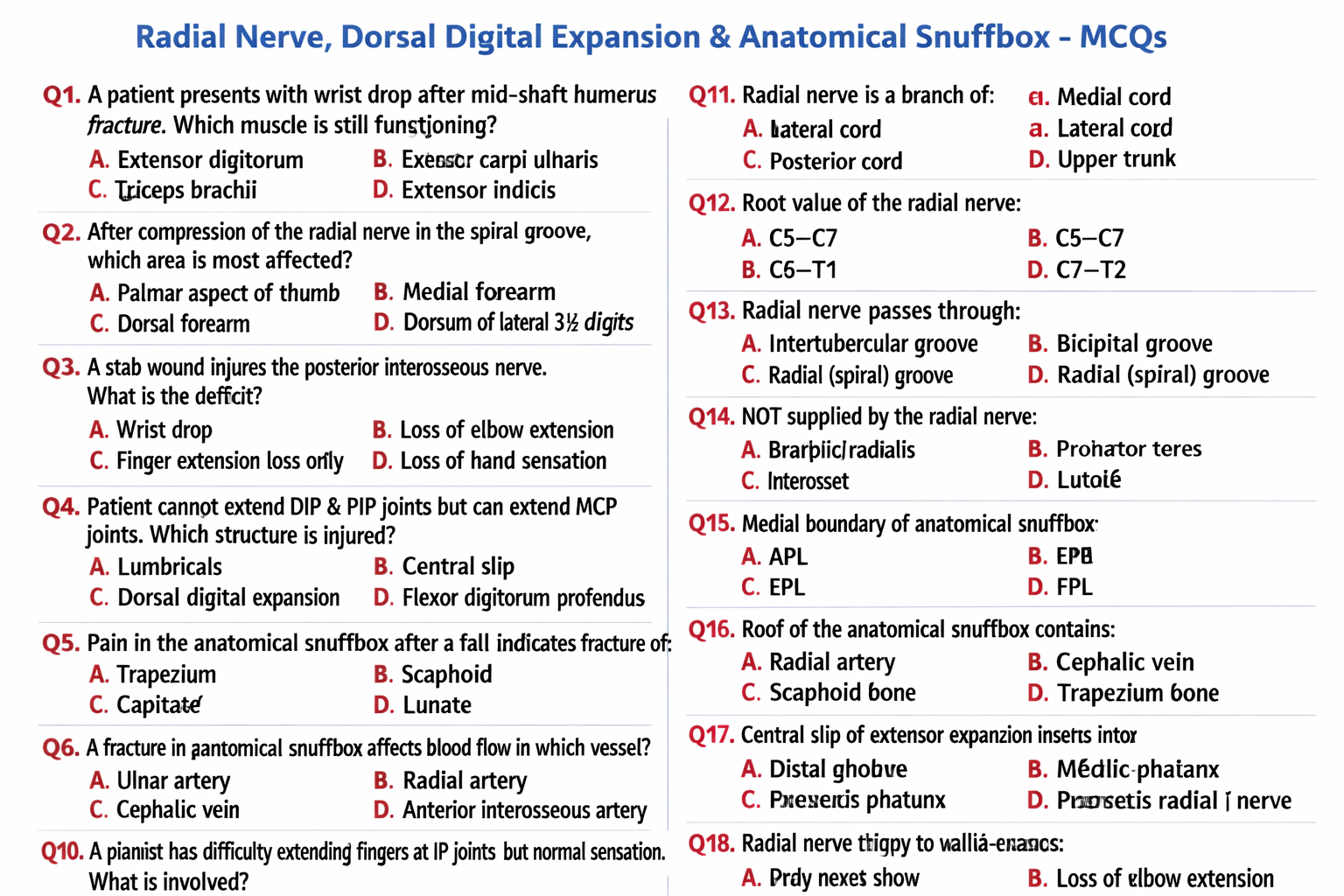 Radial Nerve, Dorsal Digital Expansion and Anatomical Snuffbox Anatomy Explained - ANATOMY